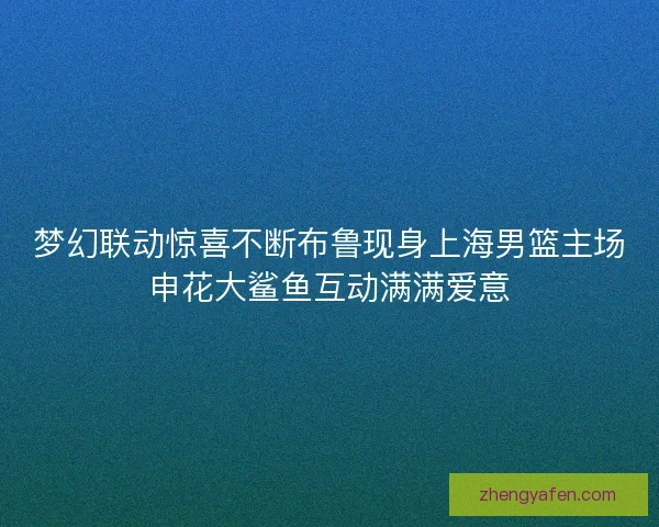 梦幻联动惊喜不断布鲁现身上海男篮主场申花大鲨鱼互动满满爱意