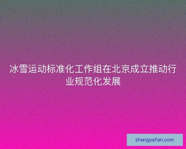 冰雪运动标准化工作组在北京成立推动行业规范化发展