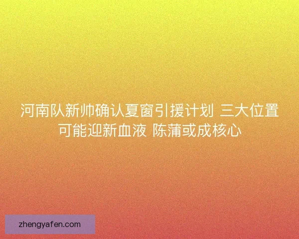 河南队新帅确认夏窗引援计划 三大位置可能迎新血液 陈蒲或成核心